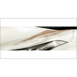 Toyota C-HR Smart Style Hood decal