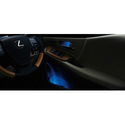 Lexus HS Door handles and pocket Illumination