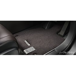 Lexus RX Floor Mat Type A