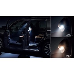 Modellista Toyota Land Cruiser LED Smart Footlights 